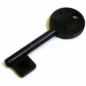CQR MOUKEY Spare Plastic Reset Key for Panic Buttons, Black