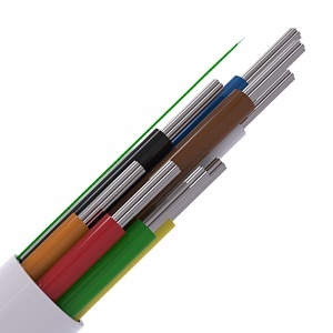 Image of CABHF8/WH/100/C
