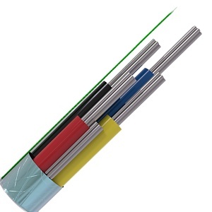Image of CABS4HF/WH/100