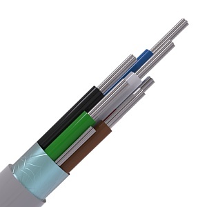 Image of CABS6/GY/LSF/100