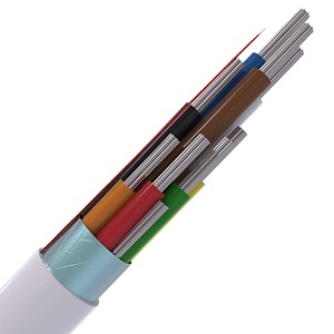 Image of CABS8/WH/LSF/100