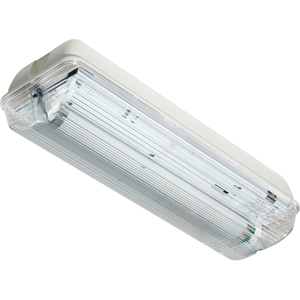 ORBIK Eden Fixed Emergency Light - LED Bulb - 500 mW - Polycarbonate, Steel for Outdoor, Indoor